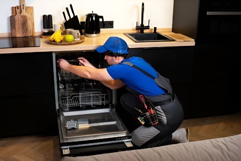 Dishwasher repair in Sky Valley